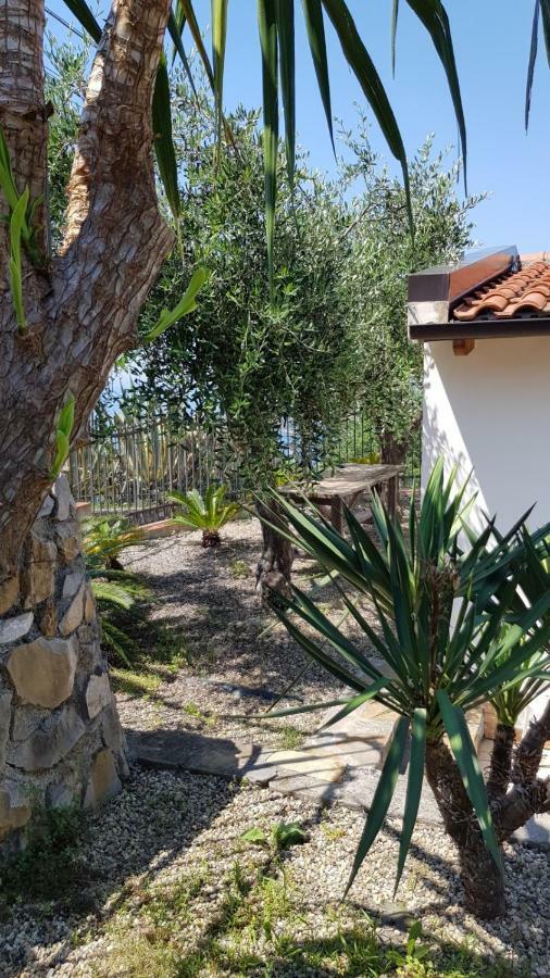 Piccola Casa Con Giardino Βίλα Σαν Ρέμο Εξωτερικό φωτογραφία